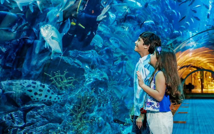 Dubai Aquarium
