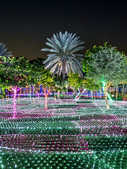 Dubai Garden Glow